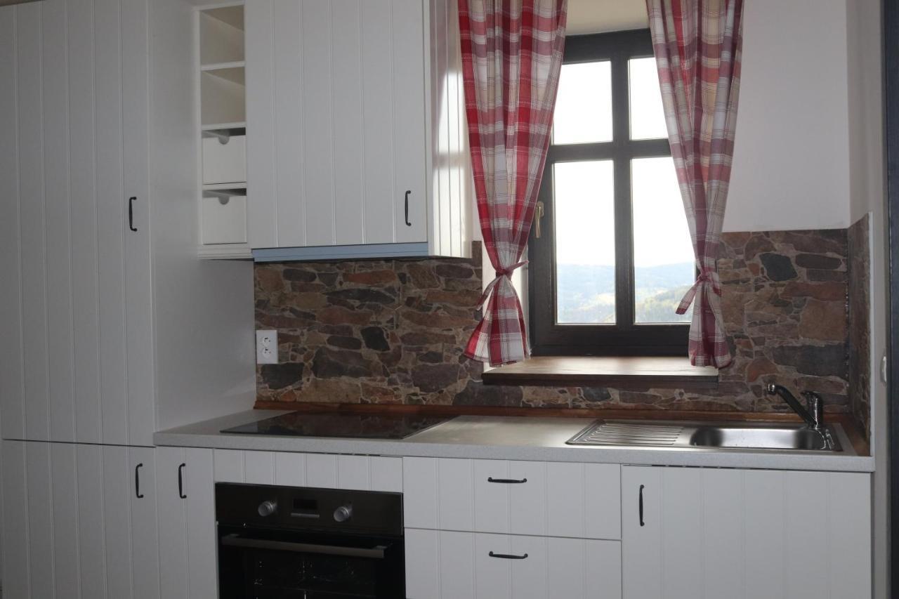Apartmany Kynast Albrechtice w Górach Izerskich Zewnętrze zdjęcie