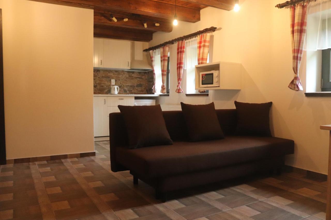 Apartmany Kynast Albrechtice w Górach Izerskich Zewnętrze zdjęcie