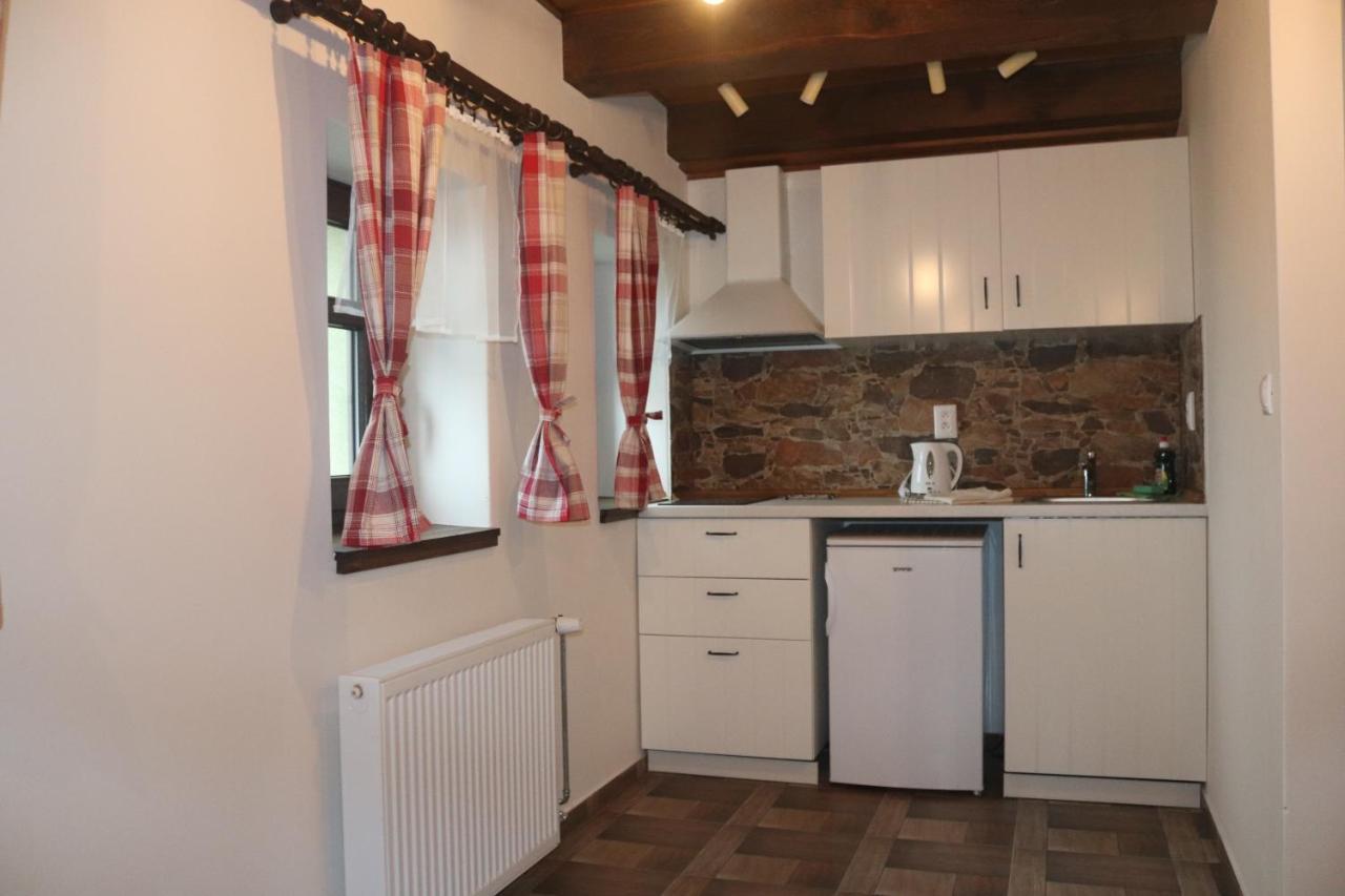 Apartmany Kynast Albrechtice w Górach Izerskich Zewnętrze zdjęcie