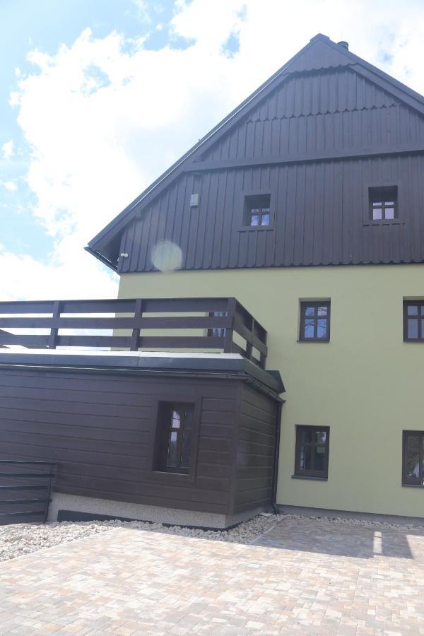 Apartmany Kynast Albrechtice w Górach Izerskich Zewnętrze zdjęcie