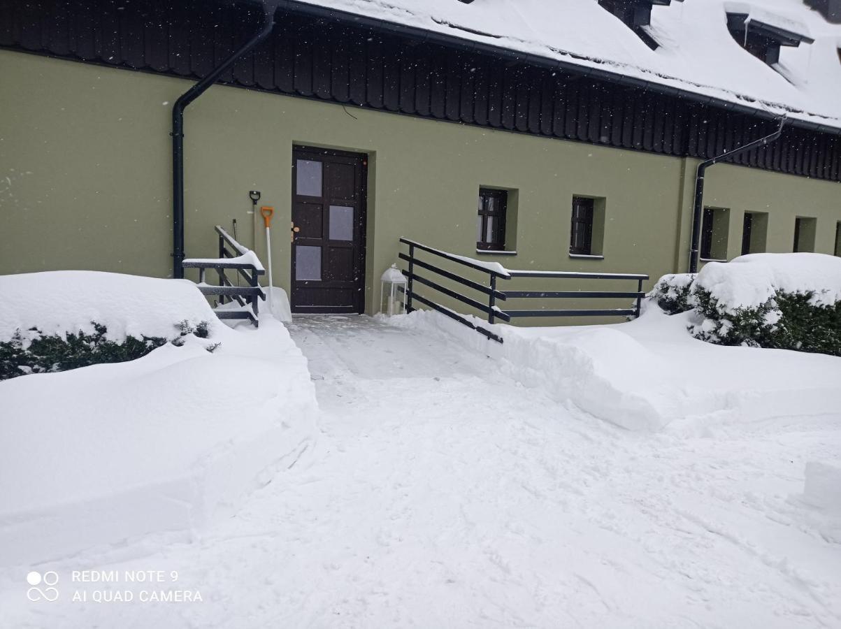 Apartmany Kynast Albrechtice w Górach Izerskich Zewnętrze zdjęcie